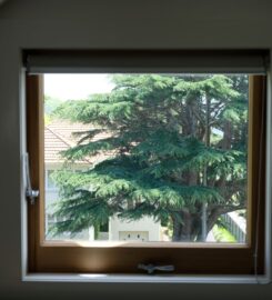 Comfortable room in park-like setting