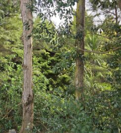 Therapy & Practice Rooms for Rent – Albany, Auckland