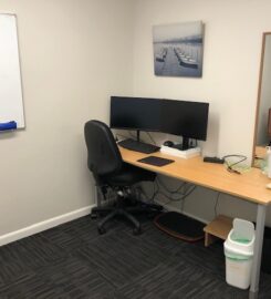 Professional room for rent