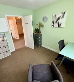 Mount Albert Wellbeing Space For Rent